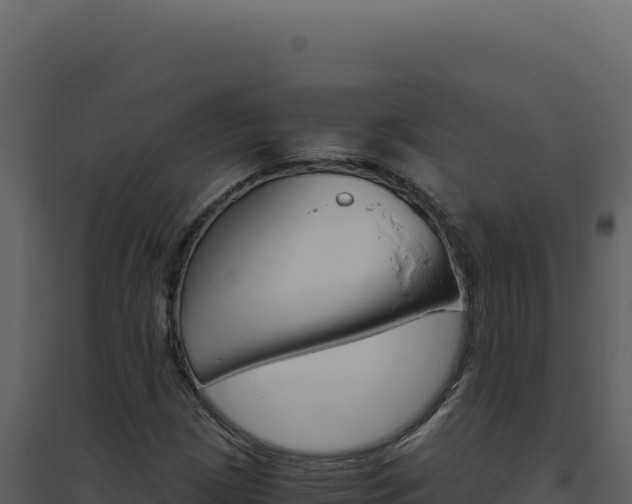 X0000094821209200711161020