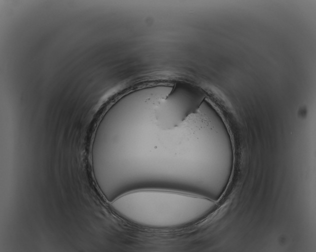 X0000094821210200711161020