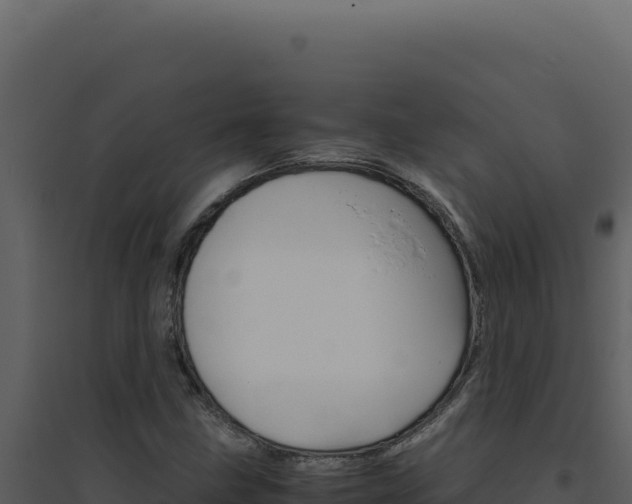 X0000094821211200711161020