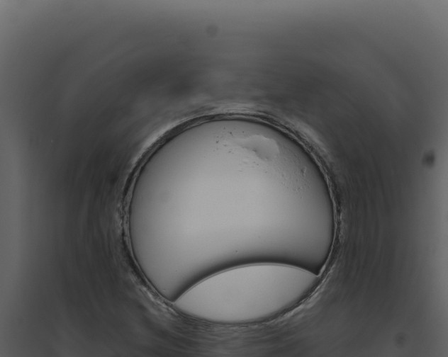 X0000094821212200711161020