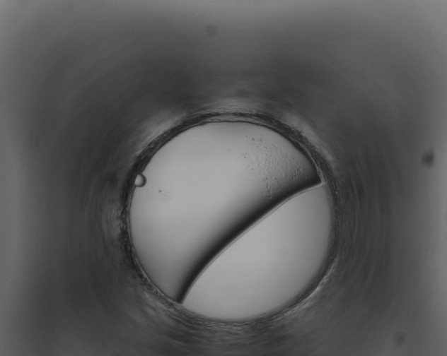 X0000094821213200711161020