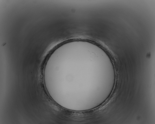 X0000094821215200711161020