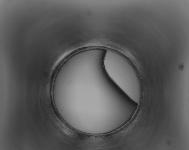 X0000094821216200711161020