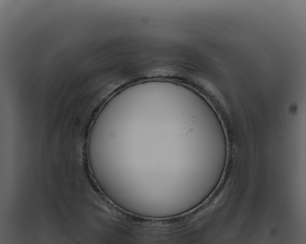 X0000094821217200711161020