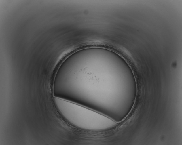 X0000094821218200711161020