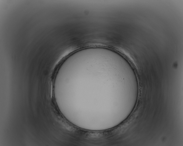 X0000094821219200711161020