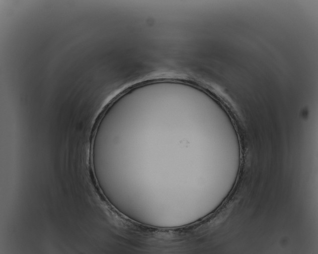 X0000094821220200711161020