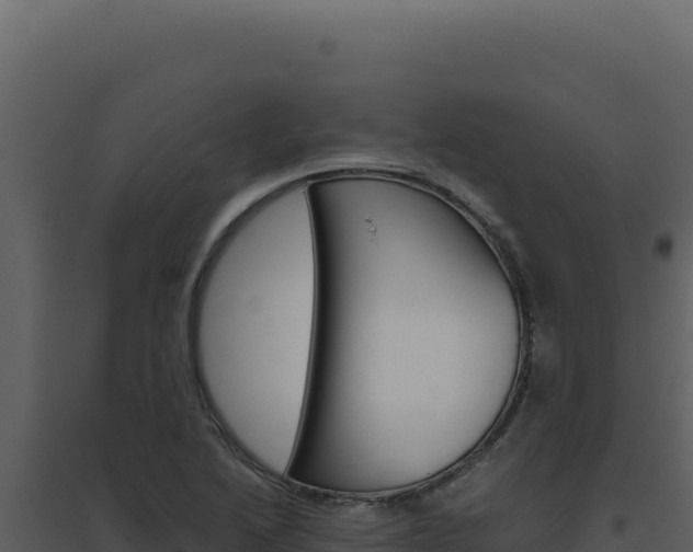 X0000094821222200711161020