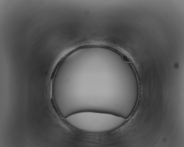 X0000094821223200711161020