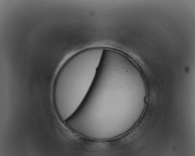 X0000094821224200711161020