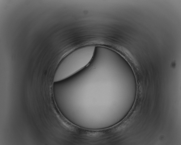 X0000094821225200711161020