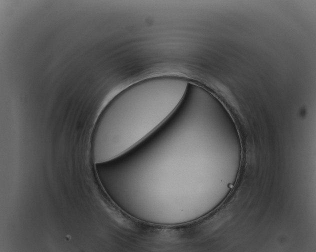 X0000094821226200711161020