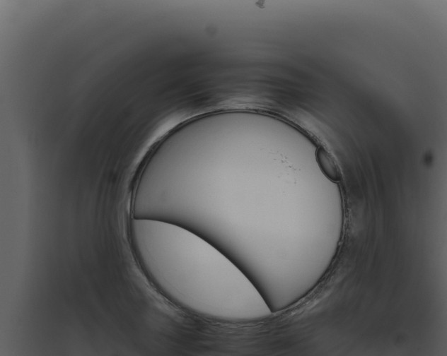 X0000094821227200711161020