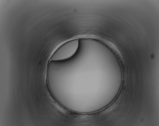 X0000094821228200711161020