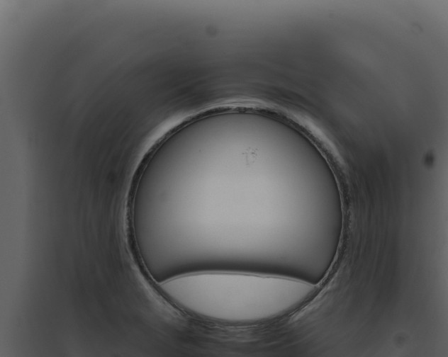 X0000094821229200711161020