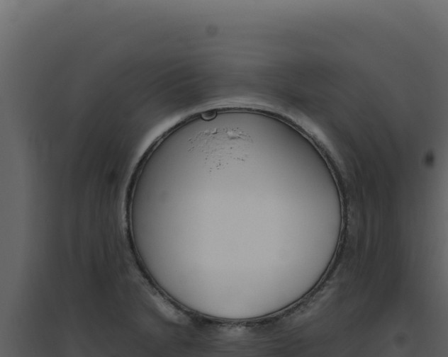 X0000094821230200711161020