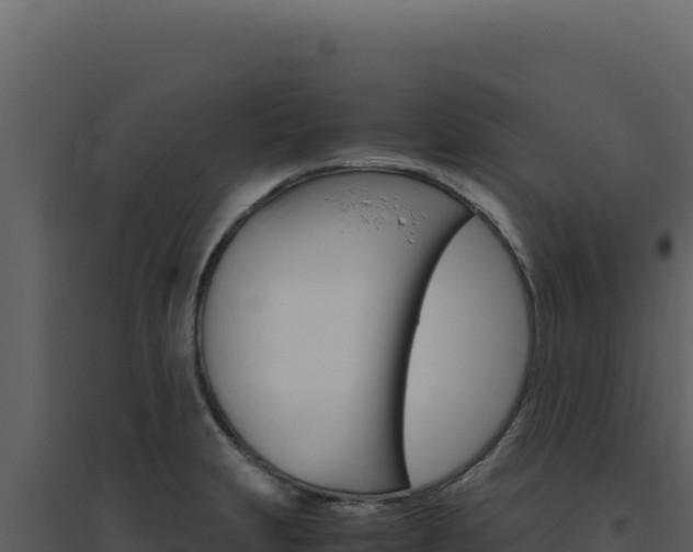 X0000094821231200711161020