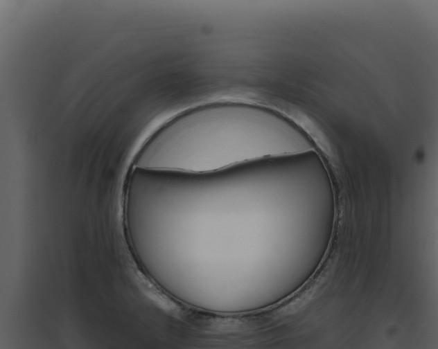 X0000094821232200711161020