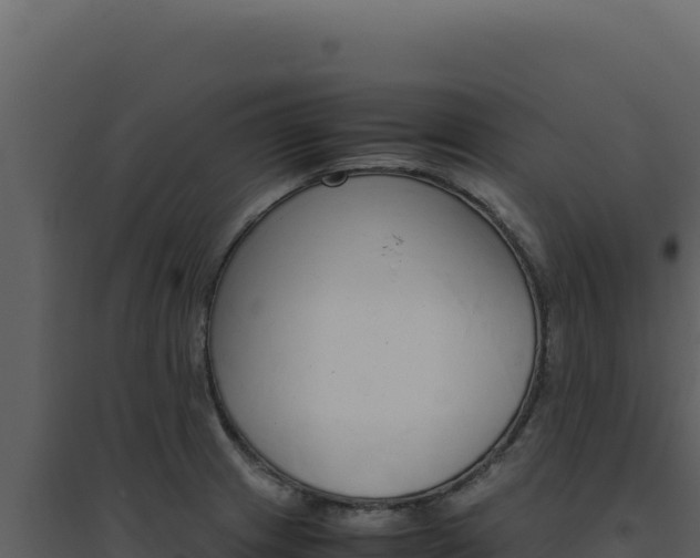 X0000094821233200711161020