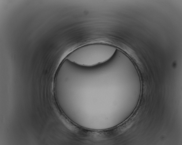 X0000094821234200711161020
