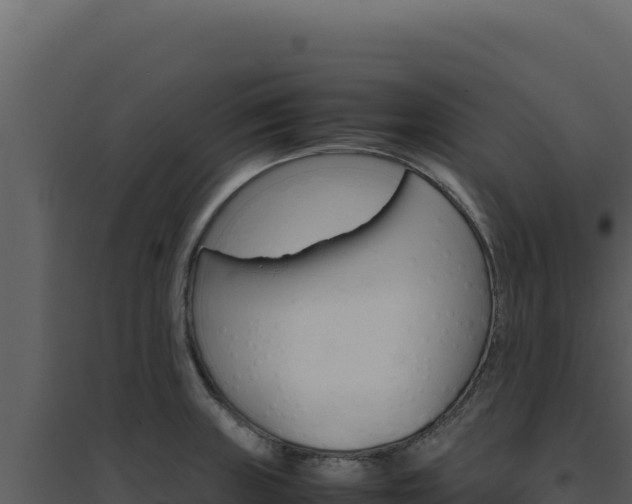 X0000094821235200711161020