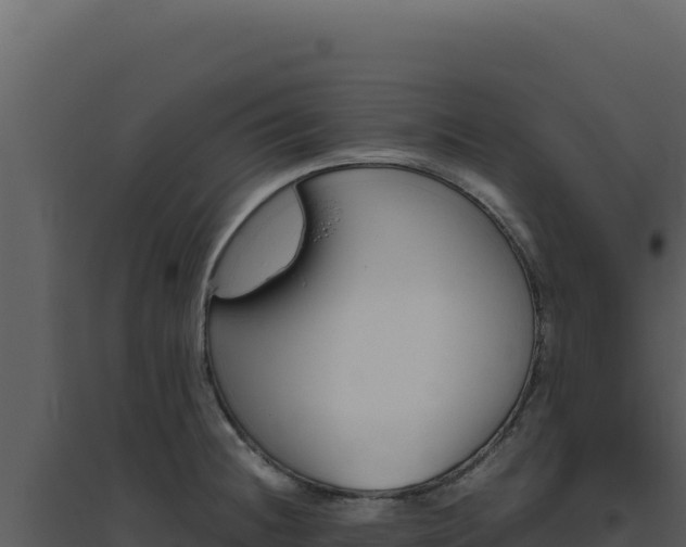 X0000094821236200711161020