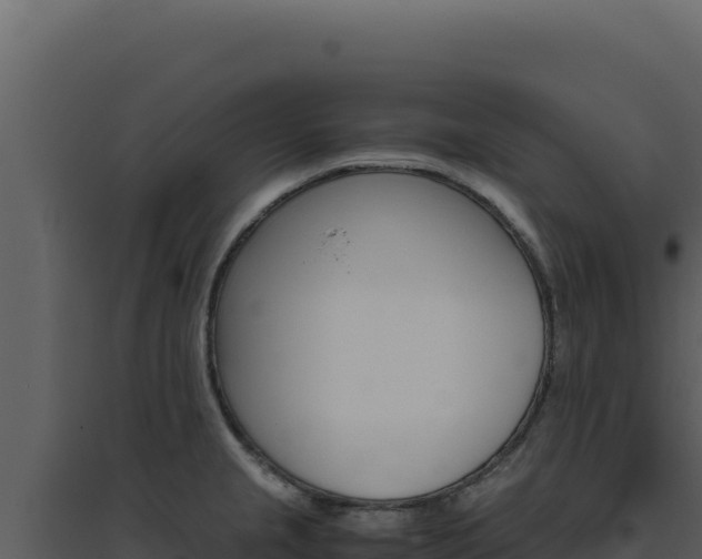 X0000094821237200711161020