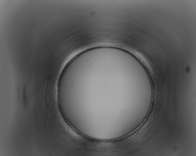 X0000094821238200711161020