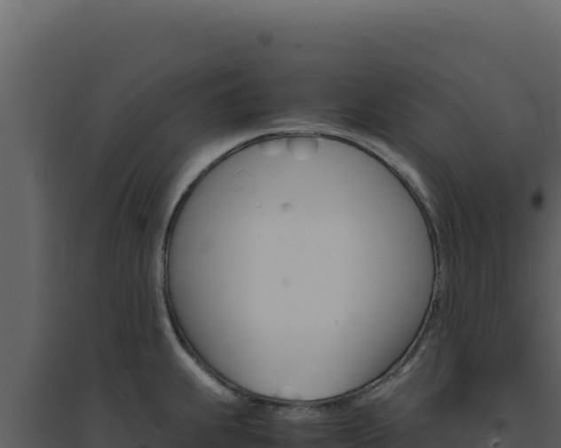 X0000094821239200711161020