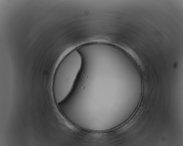 X0000094821240200711161020