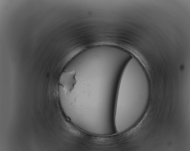 X0000094821241200711161020