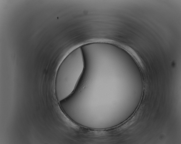 X0000094821244200711161020