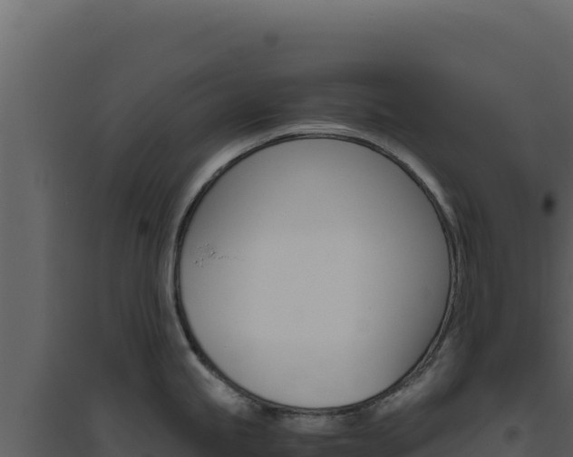 X0000094821245200711161020