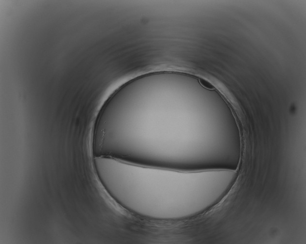 X0000094821246200711161020