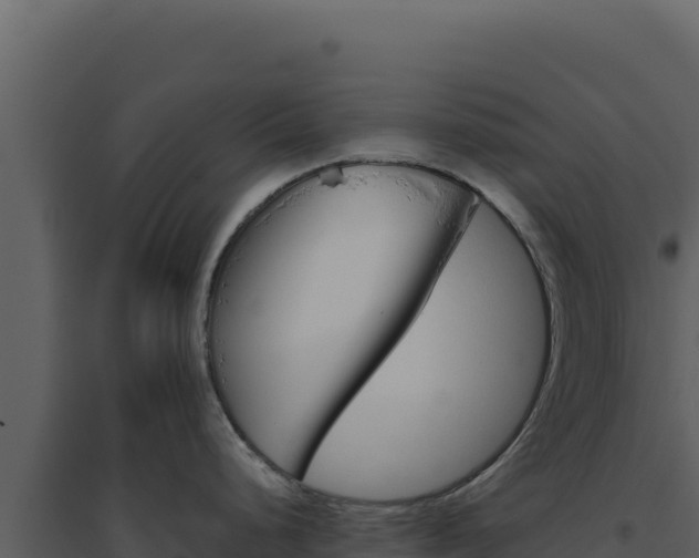 X0000094821248200711161020