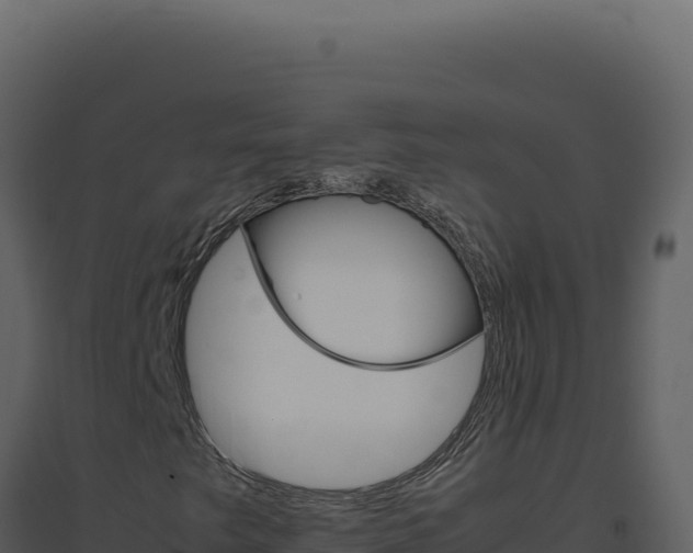 X0000094821249200711161019