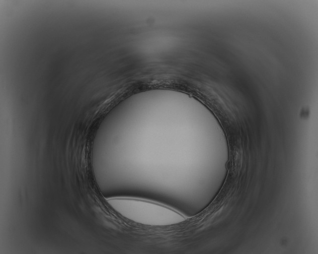 X0000094821250200711161019