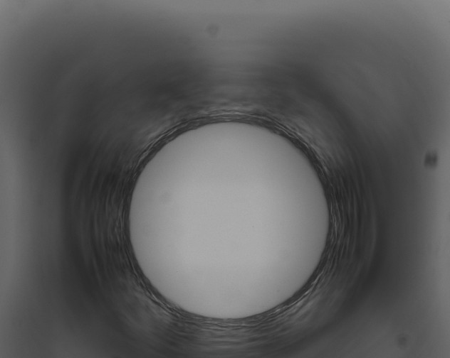 X0000094821252200711161019
