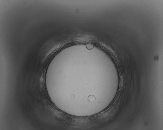 X0000094821254200711161019