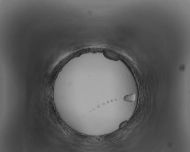 X0000094821255200711161019