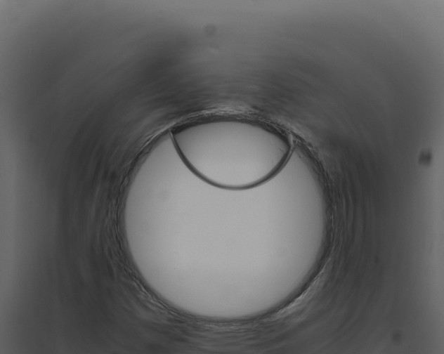 X0000094821257200711161019