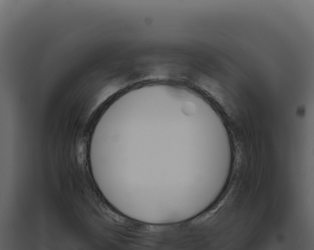 X0000094821258200711161019