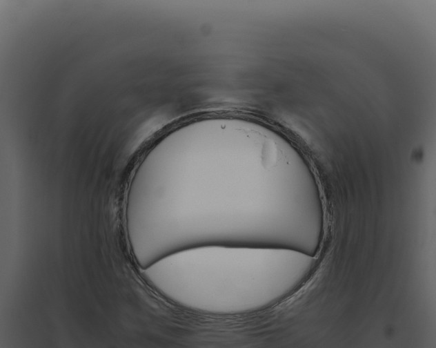 X0000094821259200711161019