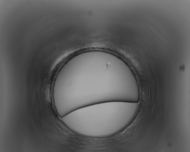 X0000094821262200711161019