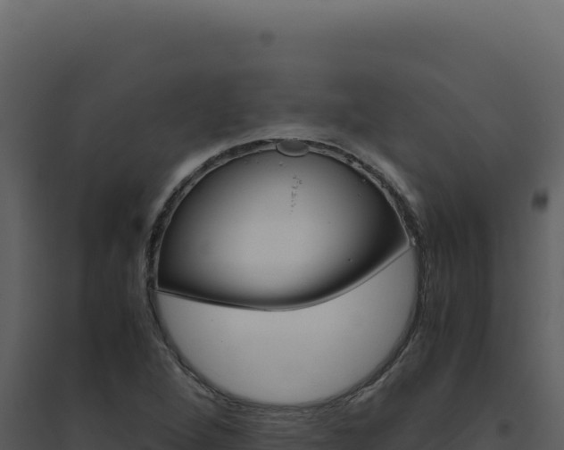 X0000094821264200711161019