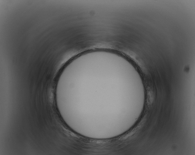 X0000094821266200711161019