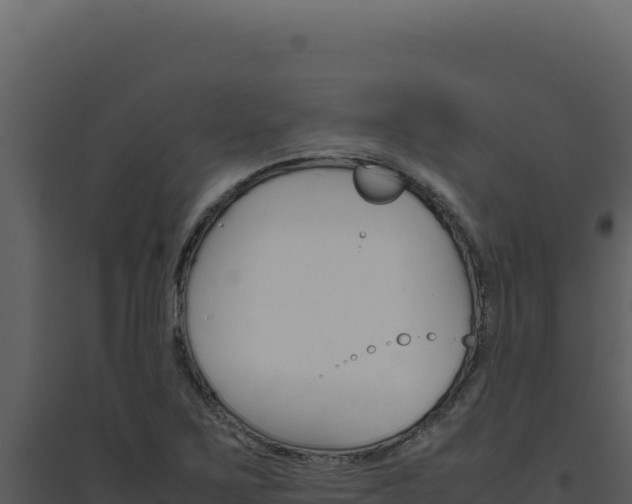 X0000094821267200711161019