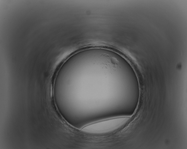 X0000094821269200711161019