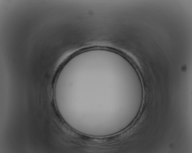 X0000094821271200711161019