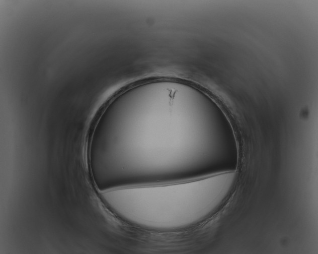 X0000094821272200711161019